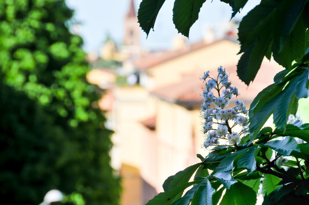 B&B Al Parco Giardini Margherita Bolonya Dış mekan fotoğraf