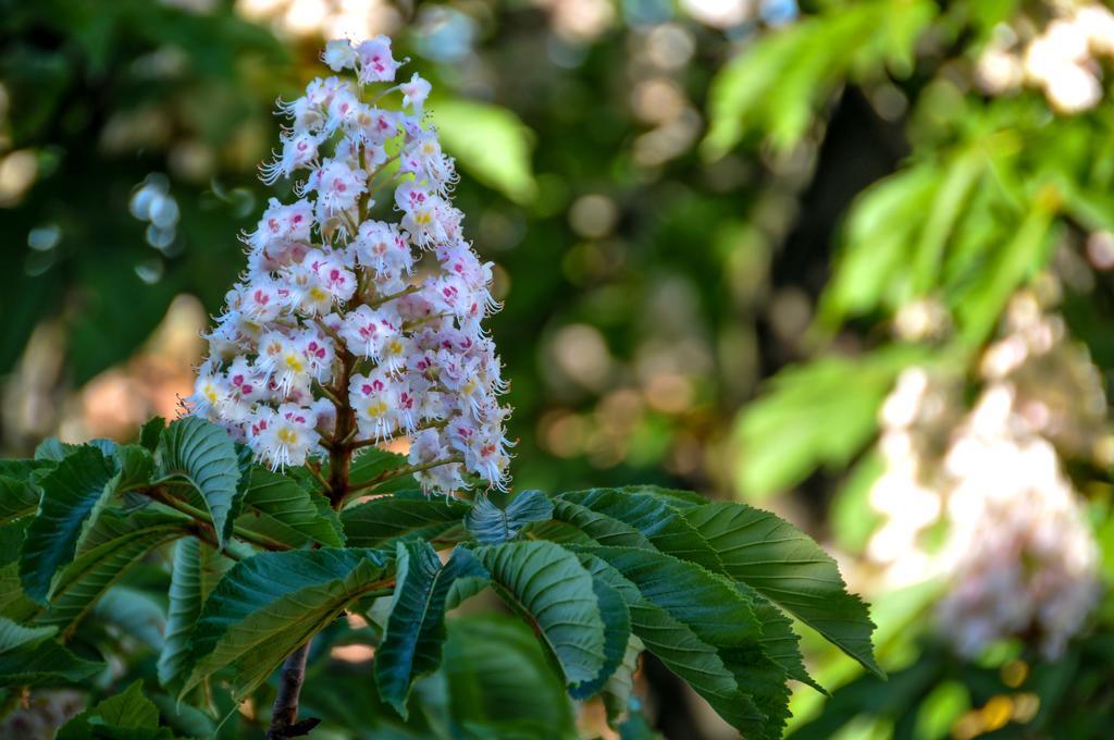 B&B Al Parco Giardini Margherita Bolonya Dış mekan fotoğraf